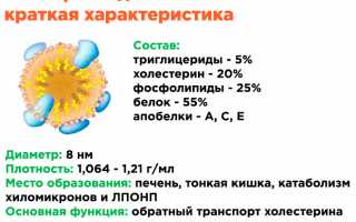 Что такое холестерин липопротеинов высокой плотности (ЛПВП, HDL)?