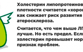 Холестерин ЛПВП (хороший) повышен: что это значит?
